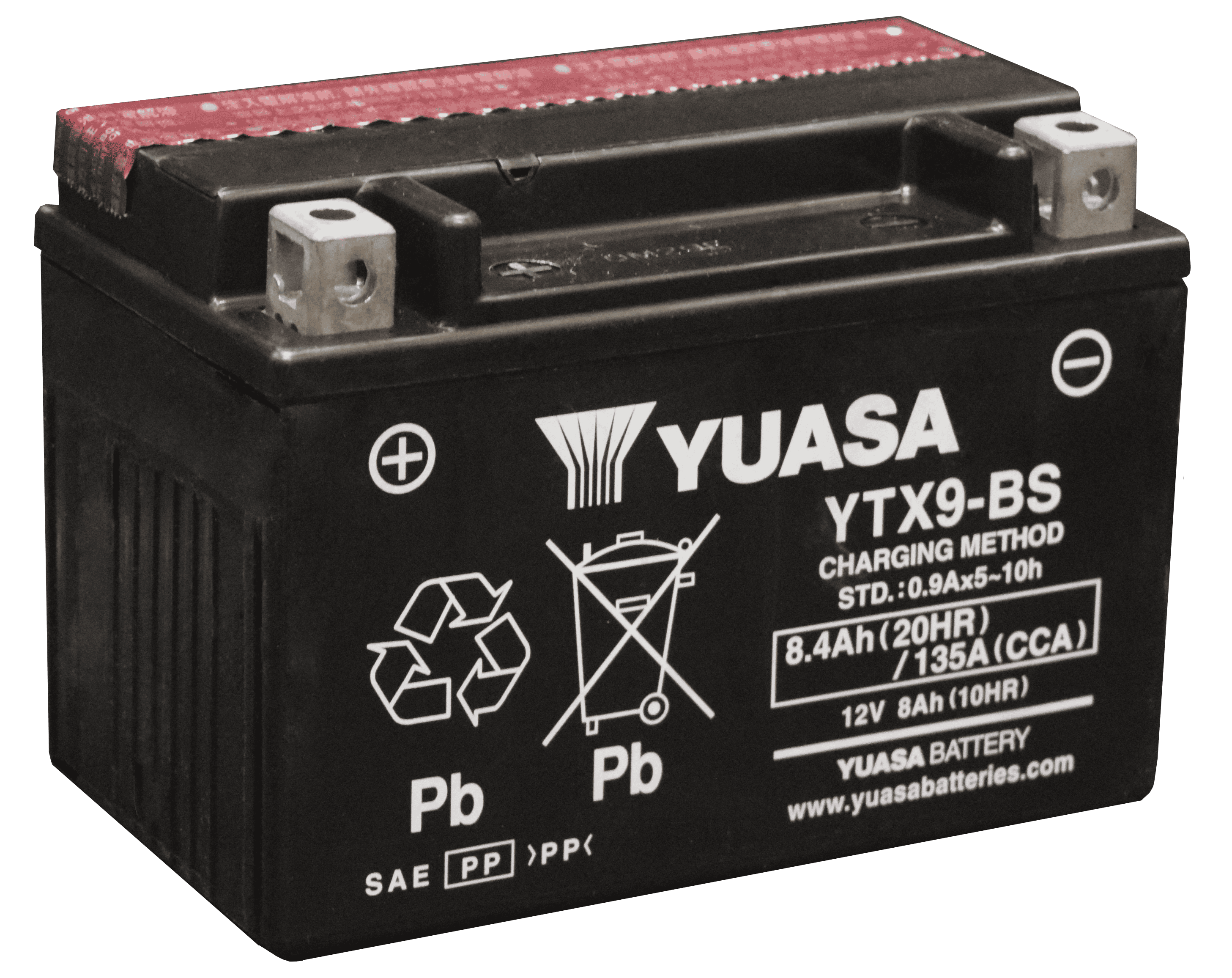 Interstate Batteries YTX9-BS 12V 8Ah Powersports Battery 135CCA AGM  Rechargeable Replacement for BMW, Honda, Kawasaki Motorcycles, ATVs,  Scooters